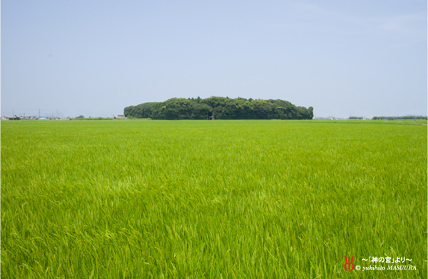 夏に甘酒？