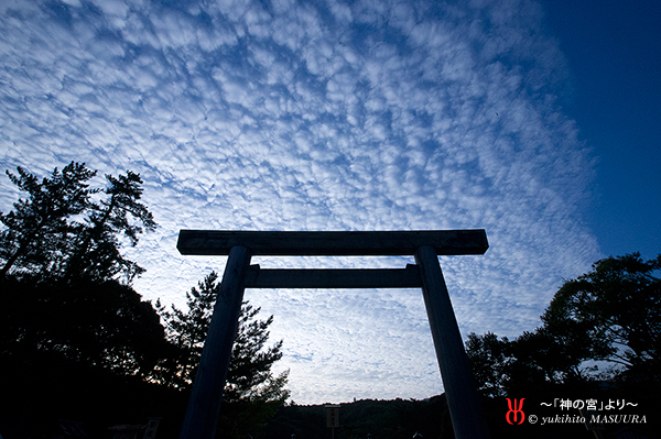 さばを読む の由来は鯖 鮭のさんつね