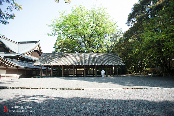 八十八夜ってどんな日？