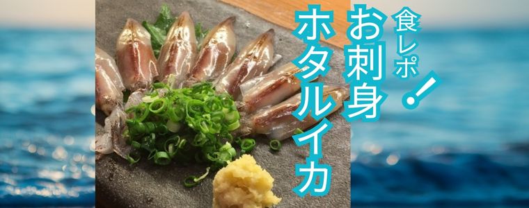 お口いっぱいに溢れる幸福味！？絶品ホタルイカを試食してみました。