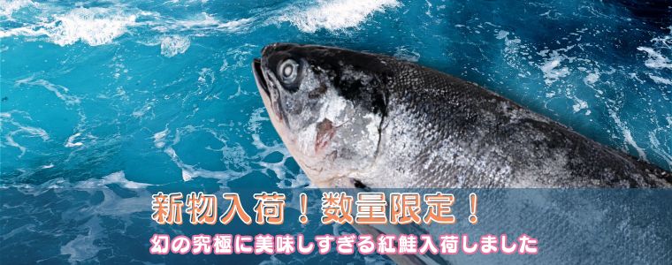幻の魚！？今しか獲れない天然の紅鮭が数量限定で販売開始！！