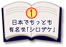 日本でもっとも有名な白鮭