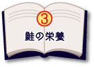 鮭の栄養