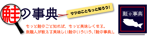 鮭の事典【サケのこともっと知ろう！】もっと鮭のこと知れば、もっと美味しくなる。魚職人が教える美味しい鮭のいろいろ、「鮭の事典」。