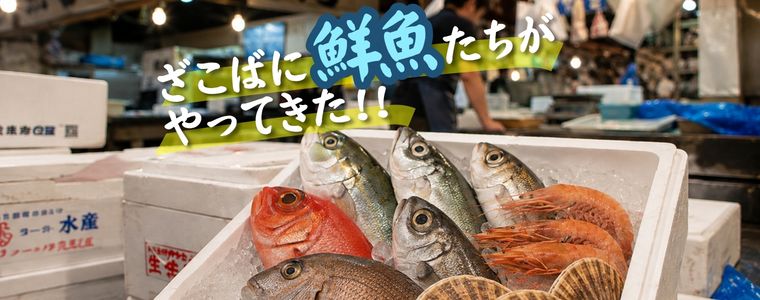 【速報！】大阪市中央卸売市場の株式会社播芳が私たちの仲間入り！！